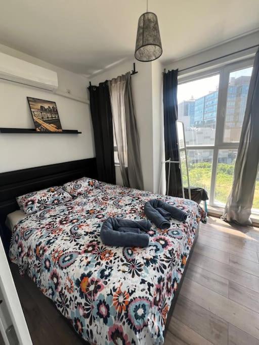 Apartment Cosy Next To The Mall *